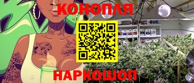 крисы Бугуруслан