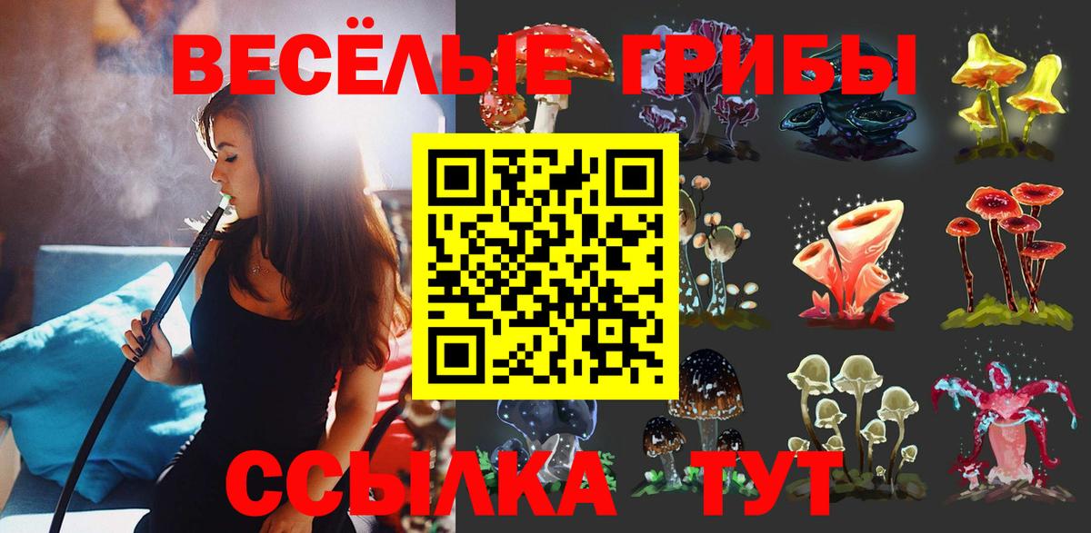 Псилоцибиновые грибы GOLDEN TEACHER Бутурлиновка